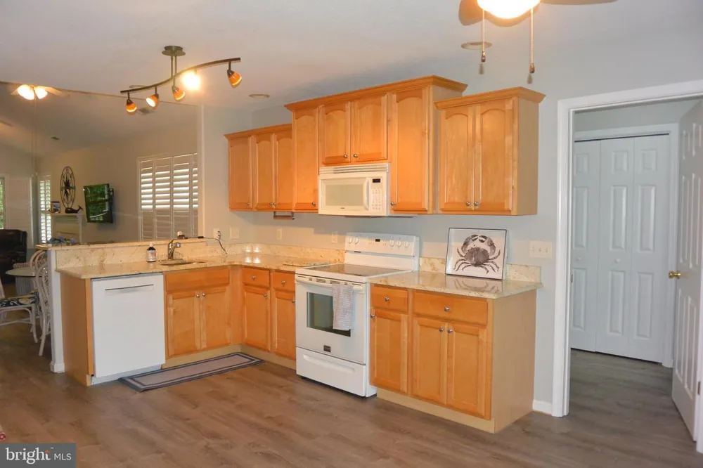33718 CHATHAM WAY Frankford, DE 19945