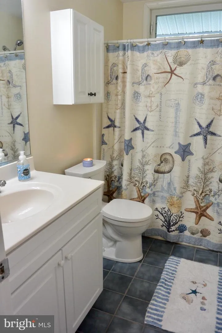33718 CHATHAM WAY Frankford, DE 19945