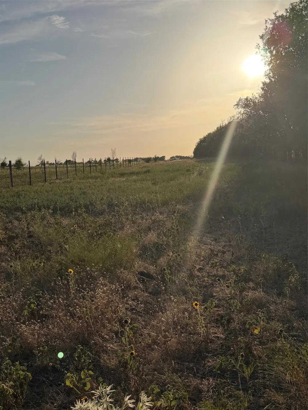 N Hickory Rd Krum, TX 76249