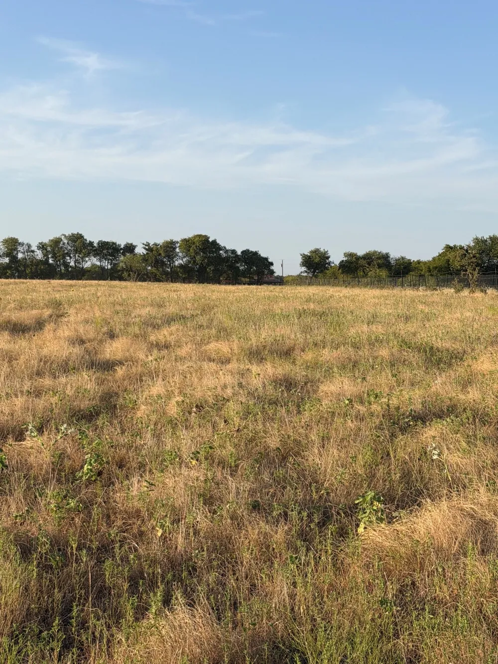 N Hickory Rd Krum, TX 76249