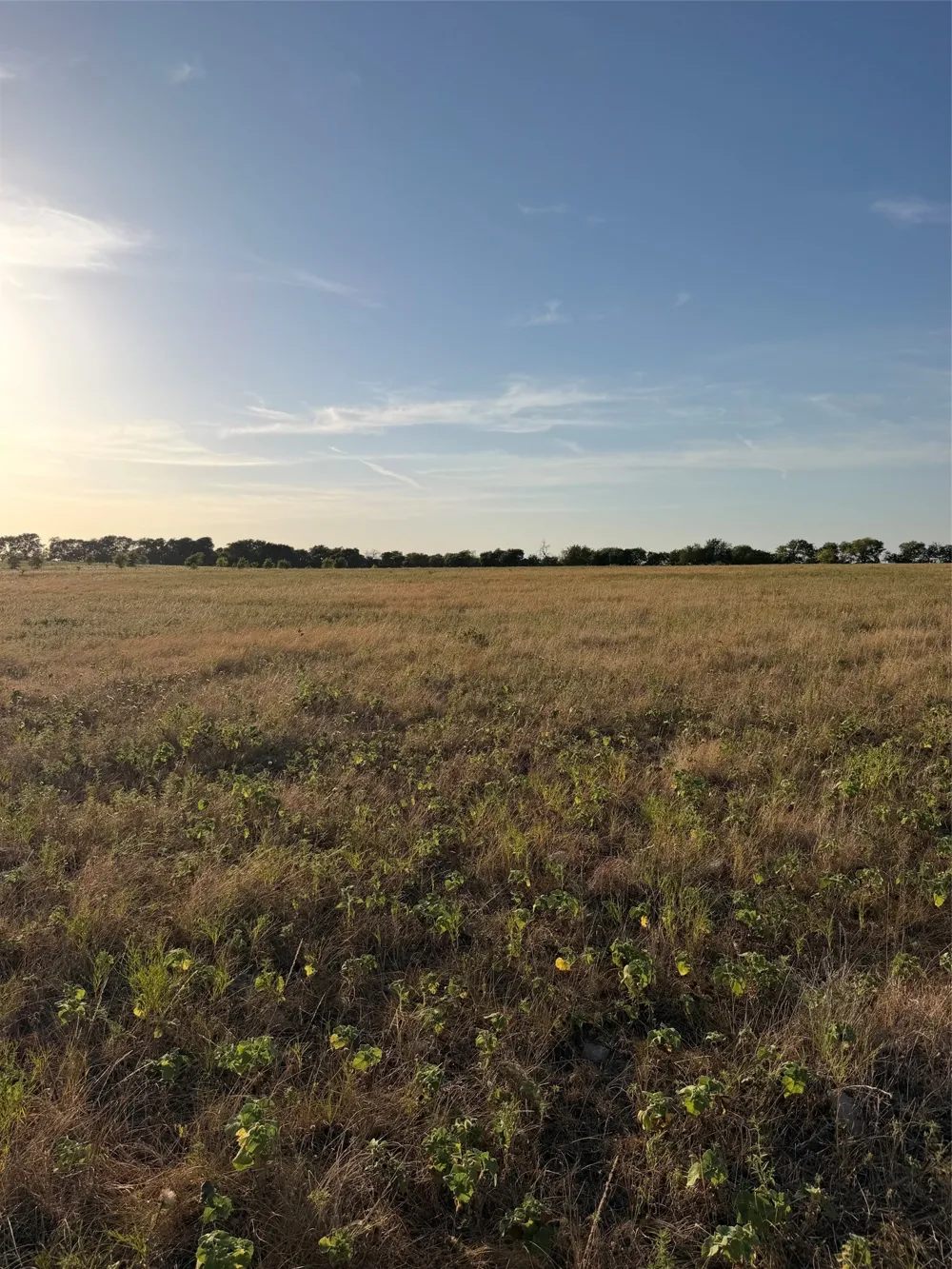 N Hickory Rd Krum, TX 76249