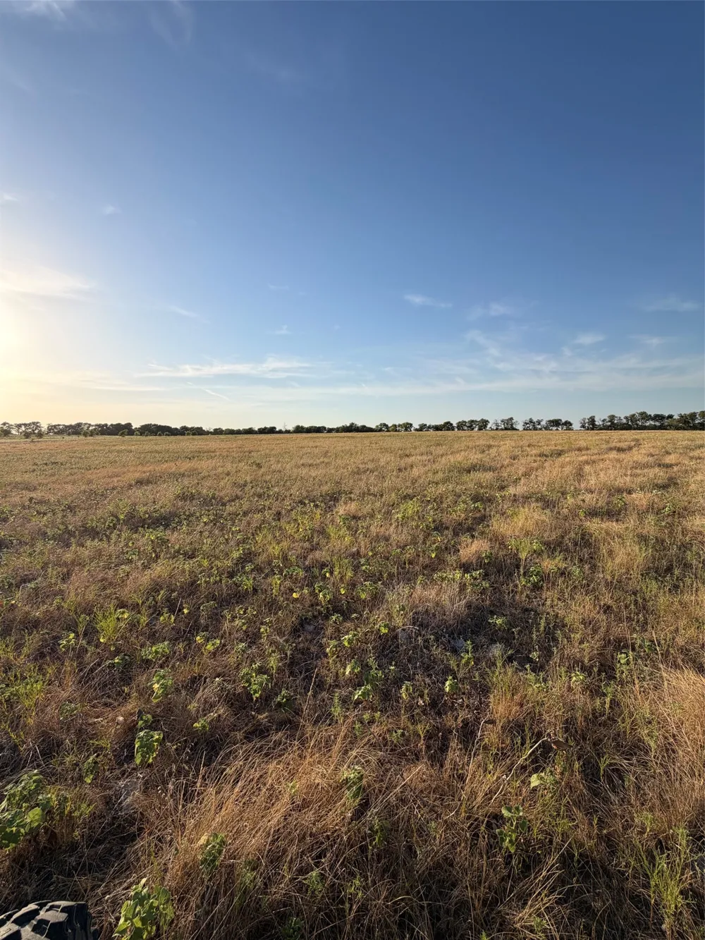 N Hickory Rd Krum, TX 76249
