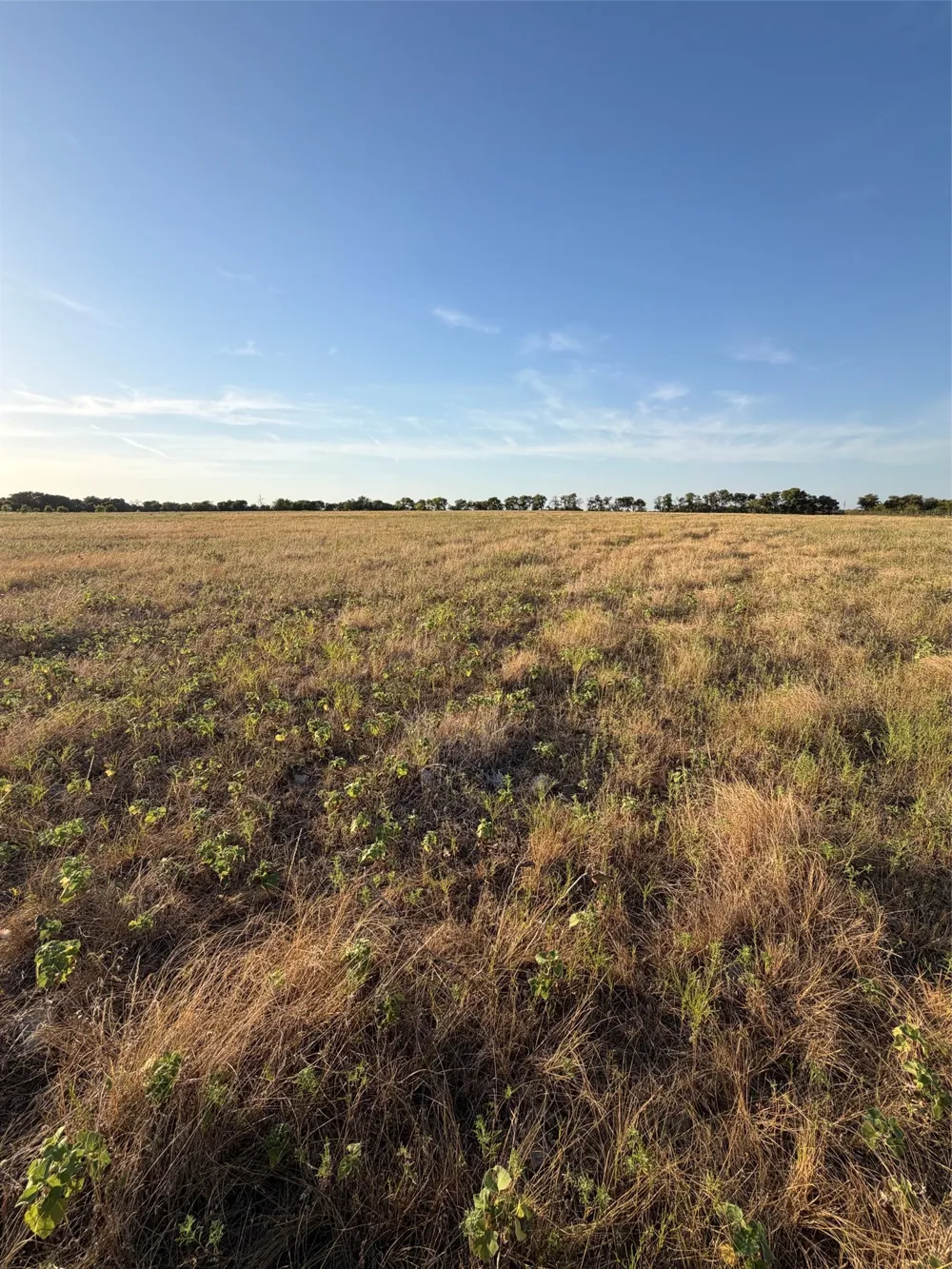 N Hickory Rd Krum, TX 76249