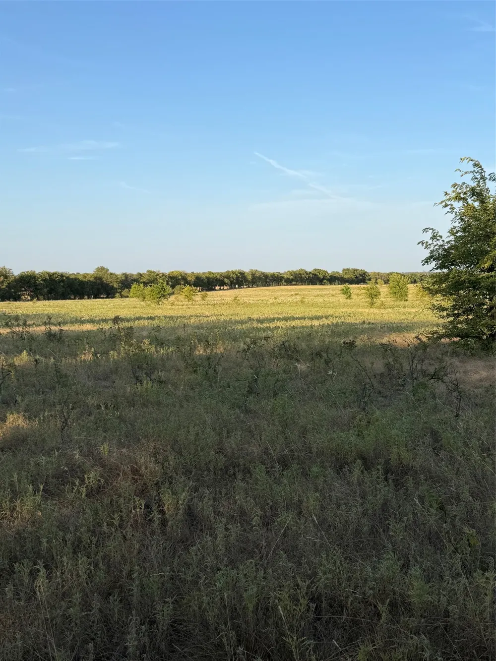 N Hickory Rd Krum, TX 76249