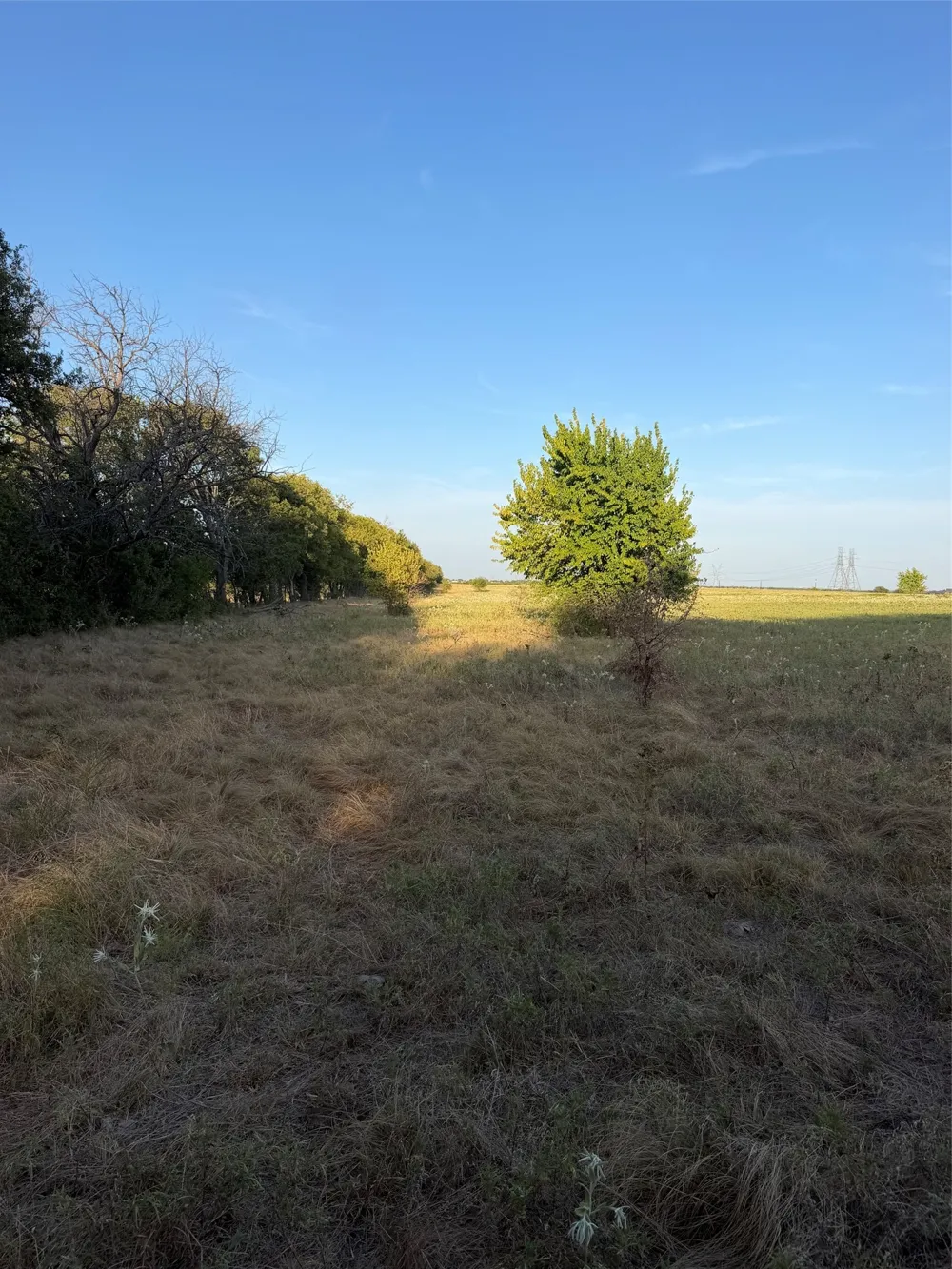 N Hickory Rd Krum, TX 76249