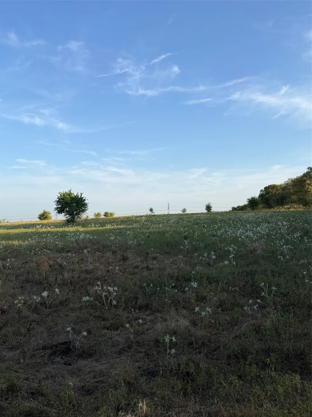 N Hickory Rd Krum, TX 76249