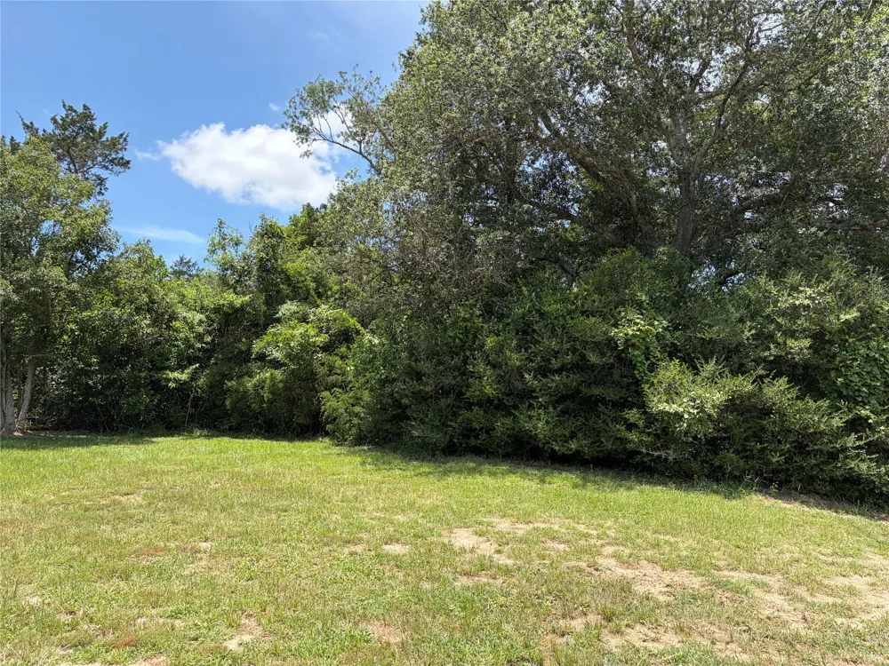 117 Dogwood Trail Bellville, TX 77418