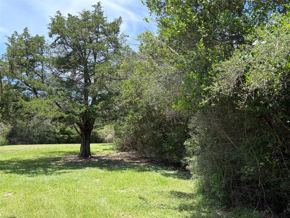 117 Dogwood Trail Bellville, TX 77418