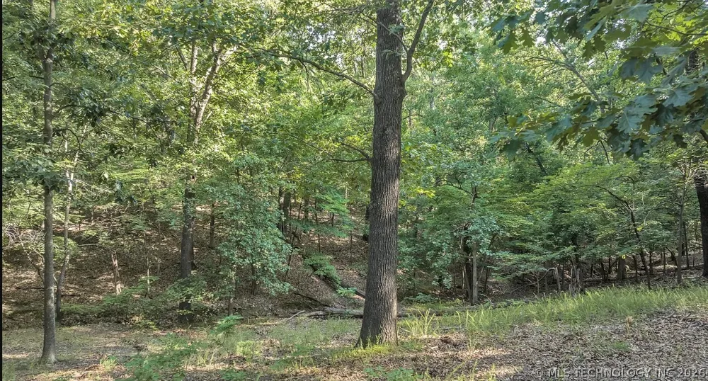 30958 Pack Trail Afton, OK 74331