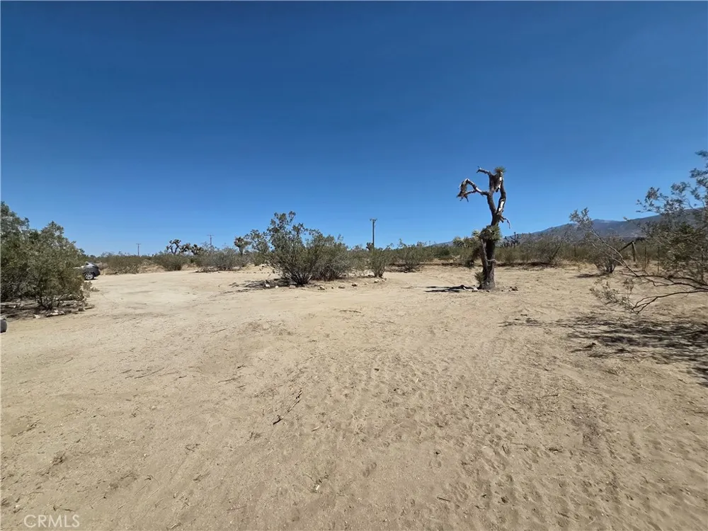 1338 Madrid Place Pinon Hills, CA 92372