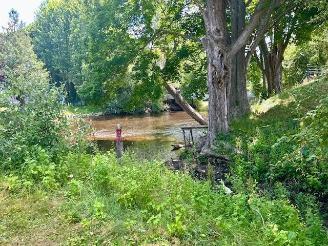 4170 S Riverview Drive S Hesperia, MI 49421