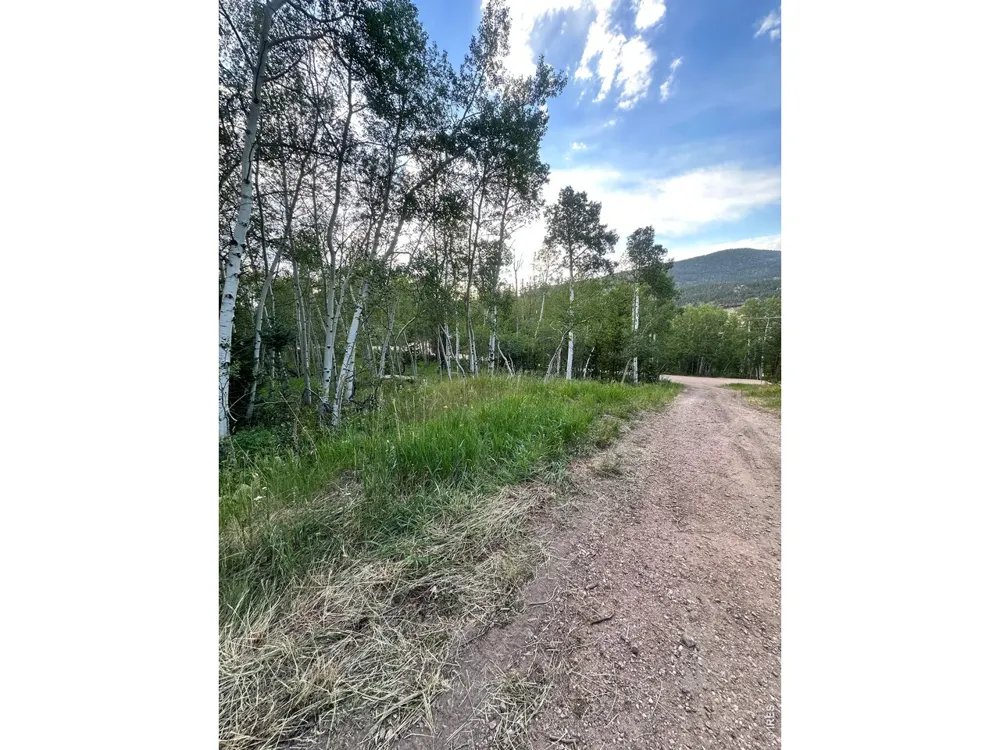 401 Blackfoot Road Red Feather Lakes, CO 80545