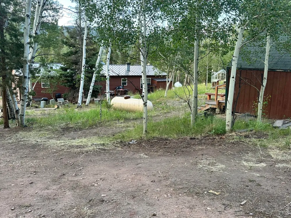 401 Blackfoot Road Red Feather Lakes, CO 80545