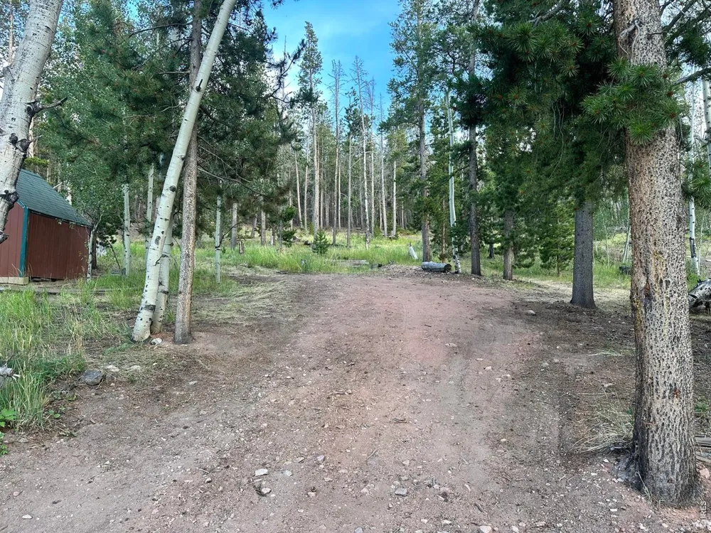 401 Blackfoot Road Red Feather Lakes, CO 80545
