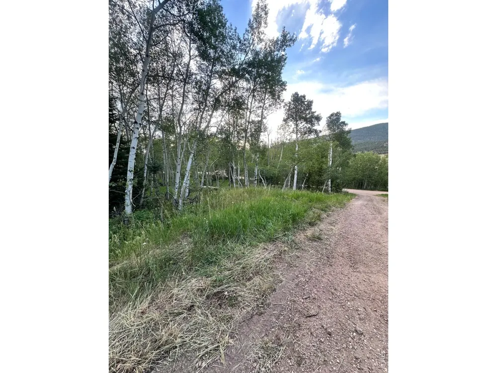 401 Blackfoot Road Red Feather Lakes, CO 80545