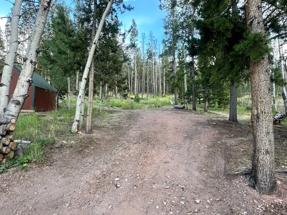 401 Blackfoot Road Red Feather Lakes, CO 80545