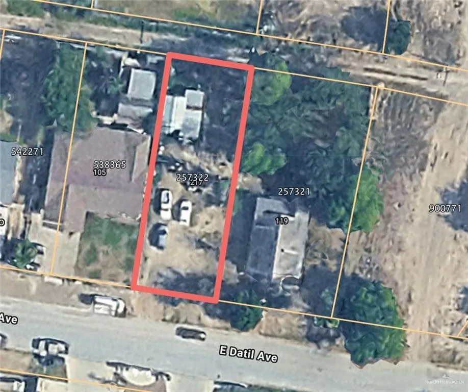 217 E Datil Street Hidalgo, TX 78557