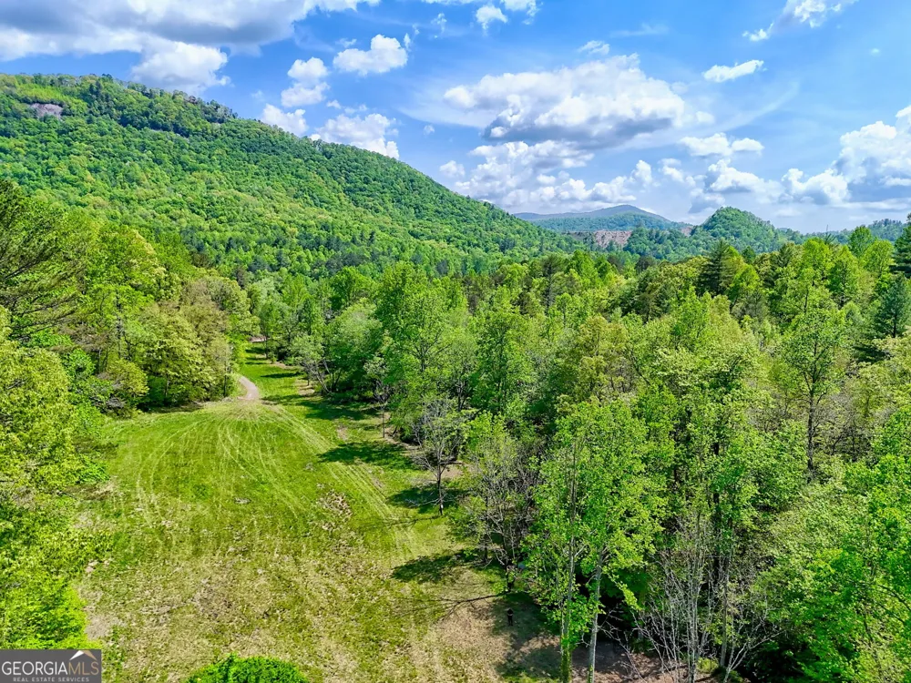 0 Highway 246 Dillard, GA 30537