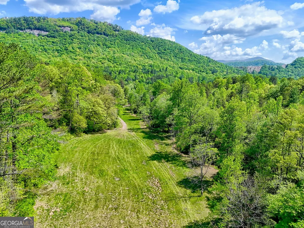 0 Highway 246 Dillard, GA 30537