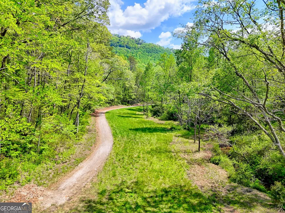 0 Highway 246 Dillard, GA 30537