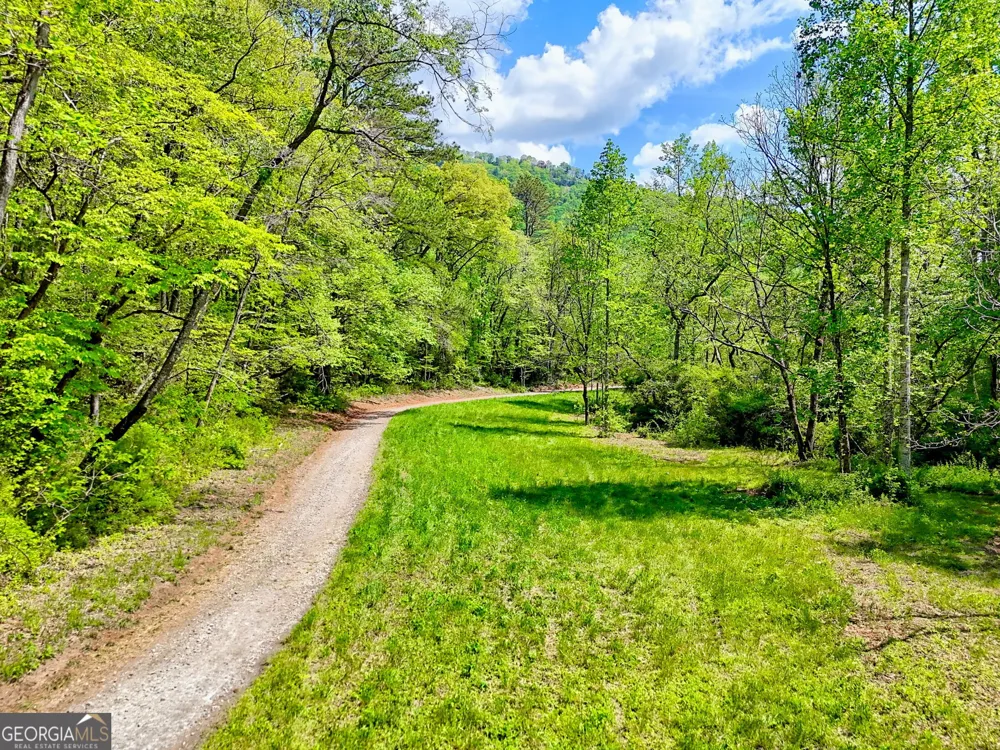 0 Highway 246 Dillard, GA 30537