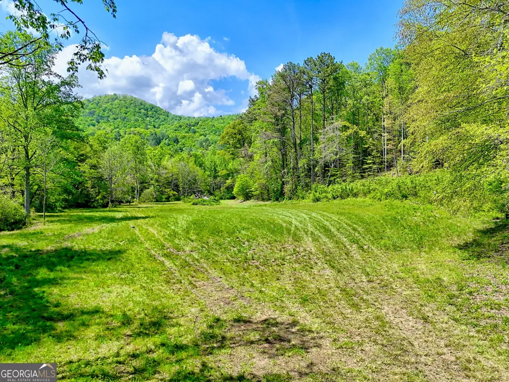 0 Highway 246 Dillard, GA 30537
