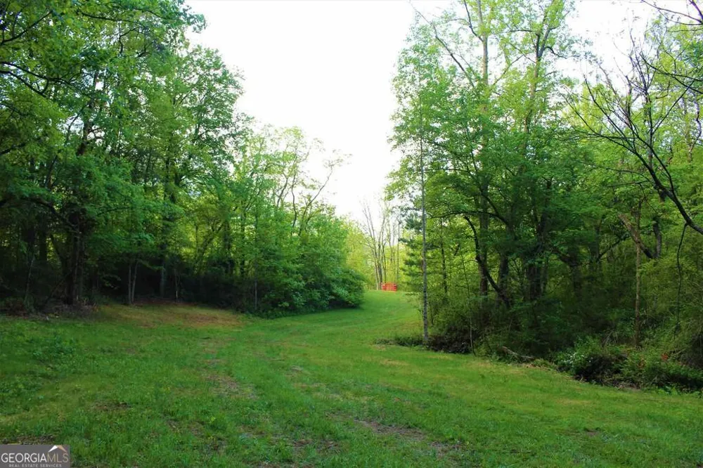 0 Highway 246 Dillard, GA 30537