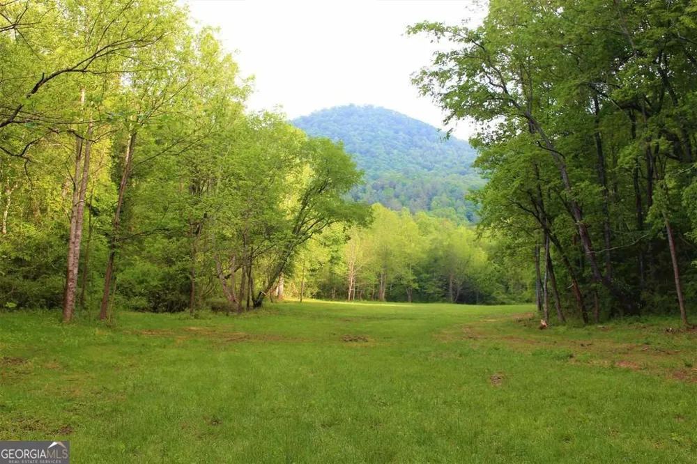 0 Highway 246 Dillard, GA 30537