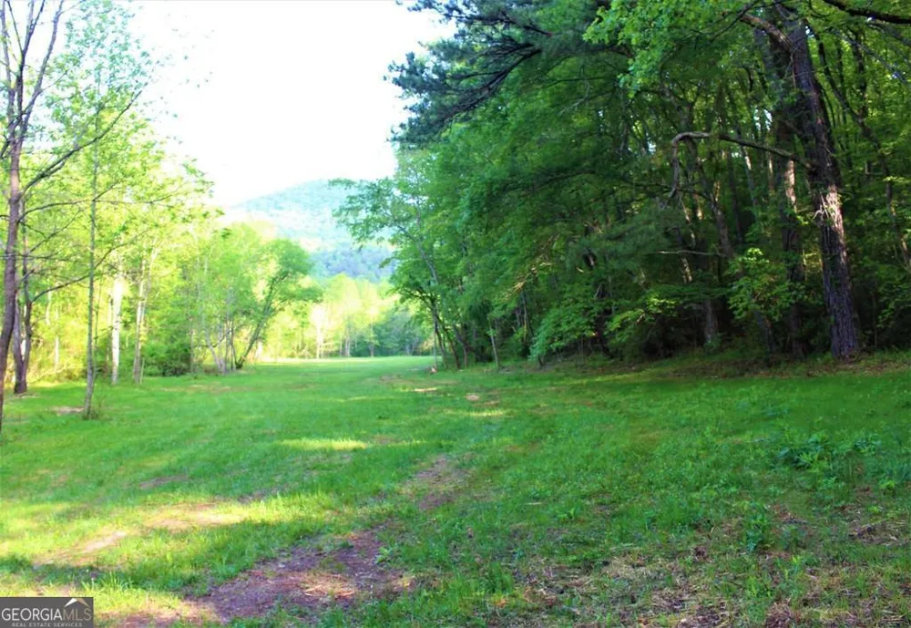 0 Highway 246 Dillard, GA 30537