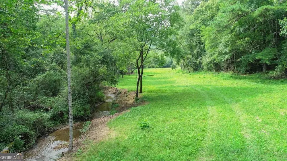 0 Highway 246 Dillard, GA 30537
