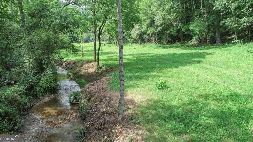 0 Highway 246 Dillard, GA 30537