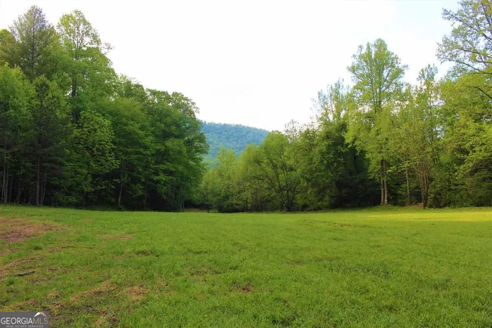 0 Highway 246 Dillard, GA 30537