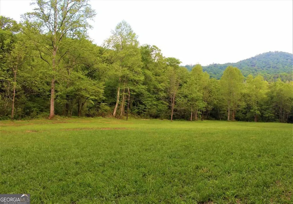 0 Highway 246 Dillard, GA 30537