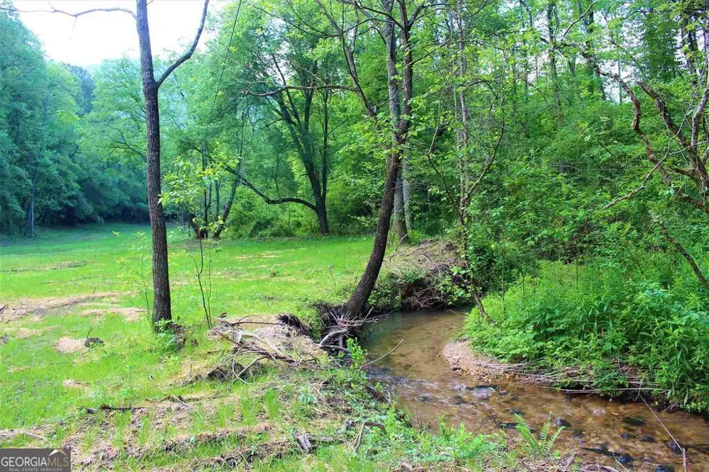 0 Highway 246 Dillard, GA 30537