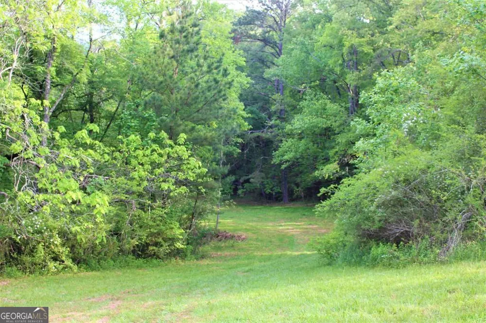0 Highway 246 Dillard, GA 30537