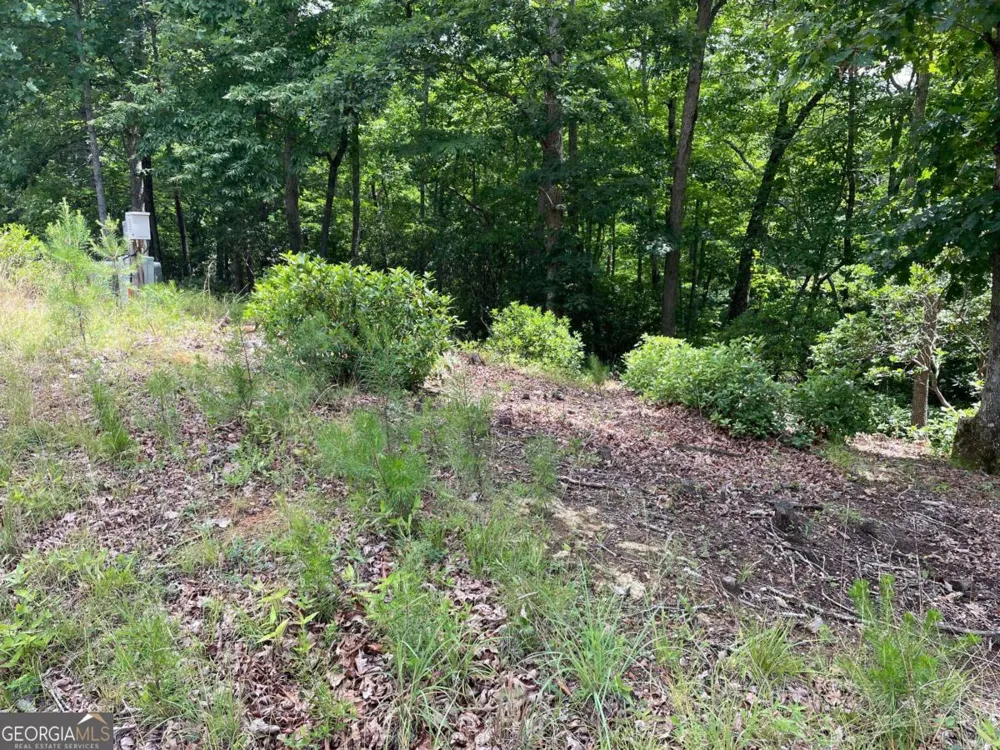 LOT 57 Asheland OVLK Young Harris, GA 30582