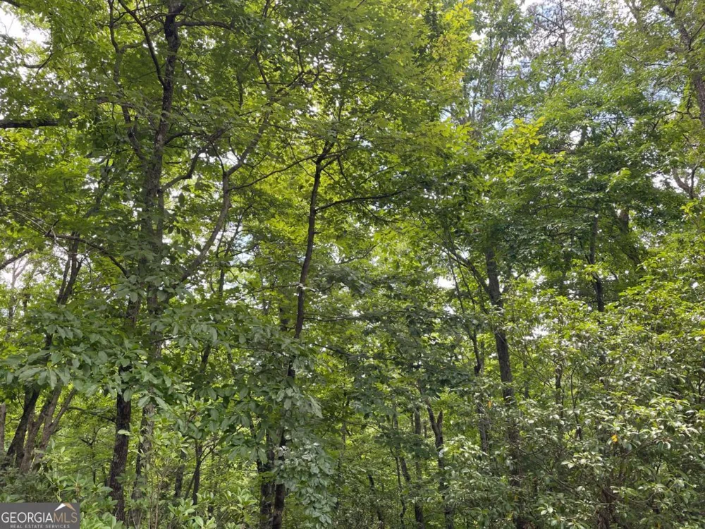 LOT 57 Asheland OVLK Young Harris, GA 30582