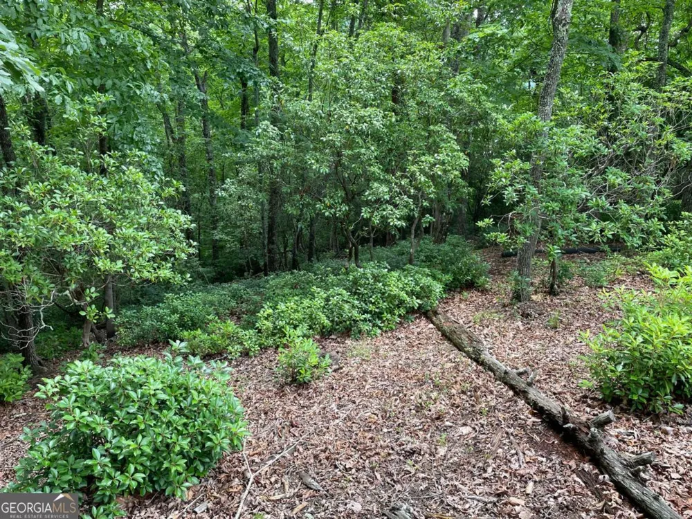 LOT 57 Asheland OVLK Young Harris, GA 30582