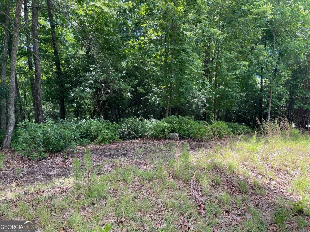 LOT 57 Asheland OVLK Young Harris, GA 30582