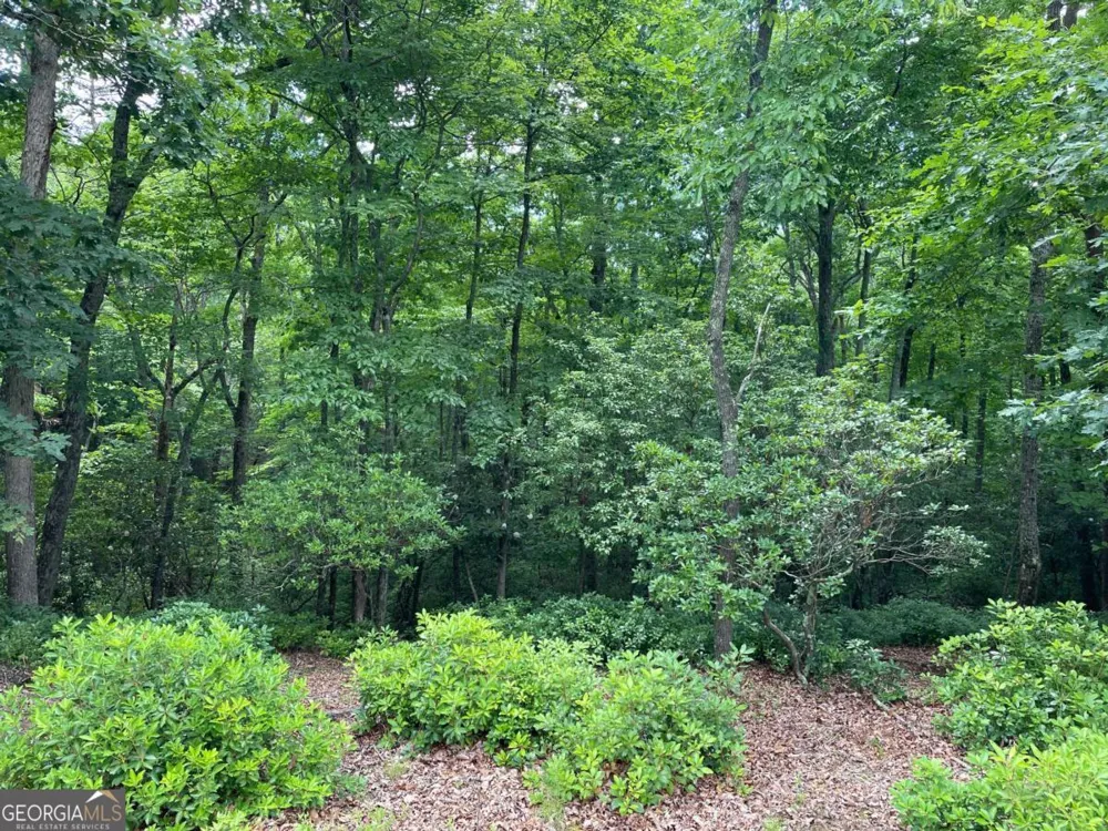 LOT 57 Asheland OVLK Young Harris, GA 30582
