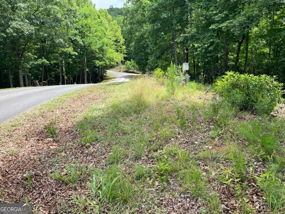 LOT 57 Asheland OVLK Young Harris, GA 30582