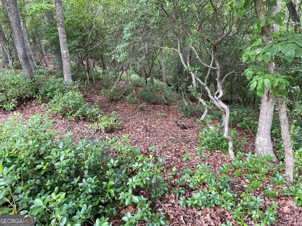 LOT 57 Asheland OVLK Young Harris, GA 30582
