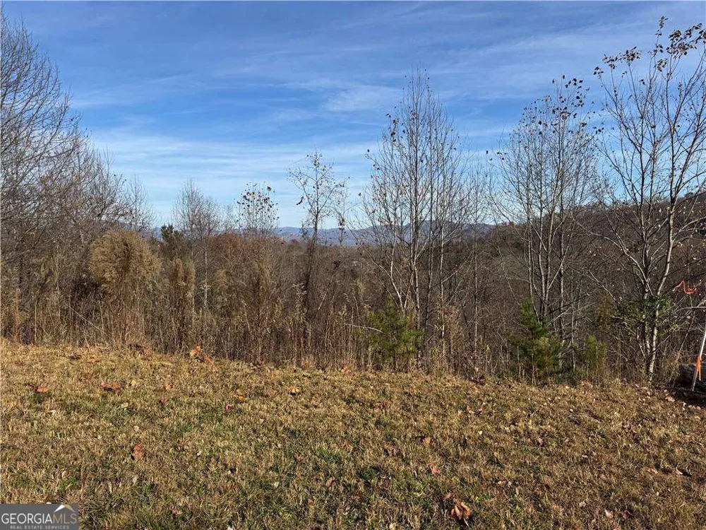 1220 Chatuge Manor DR Young Harris, GA 30582