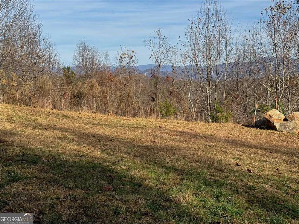 1220 Chatuge Manor DR Young Harris, GA 30582