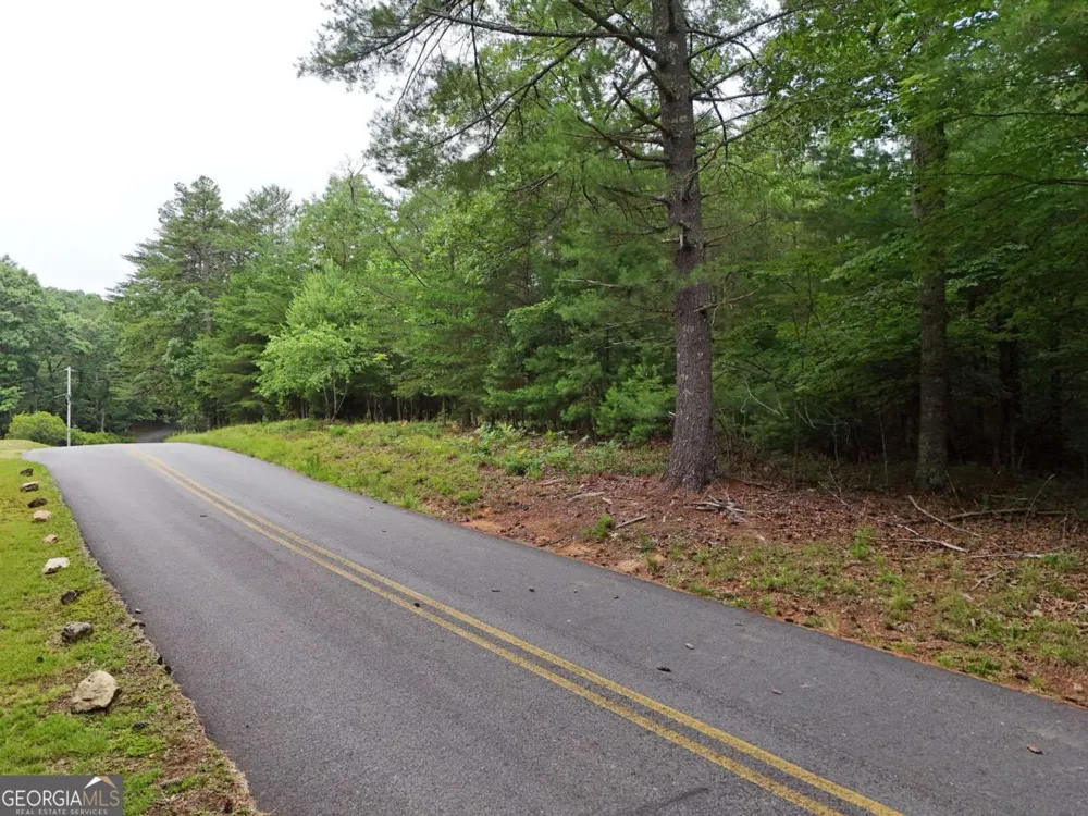 LOT 3 Cook Henry RD Blairsville, GA 30512