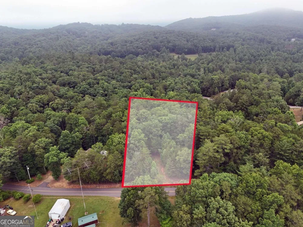 LOT 3 Cook Henry RD Blairsville, GA 30512