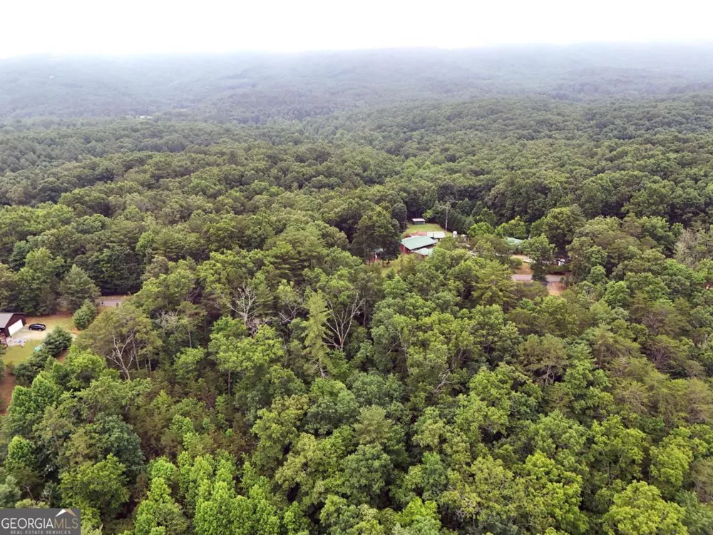 LOT 3 Cook Henry RD Blairsville, GA 30512