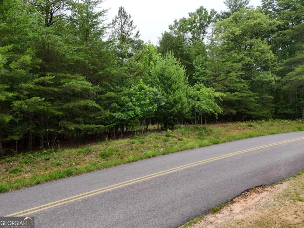 LOT 3 Cook Henry RD Blairsville, GA 30512