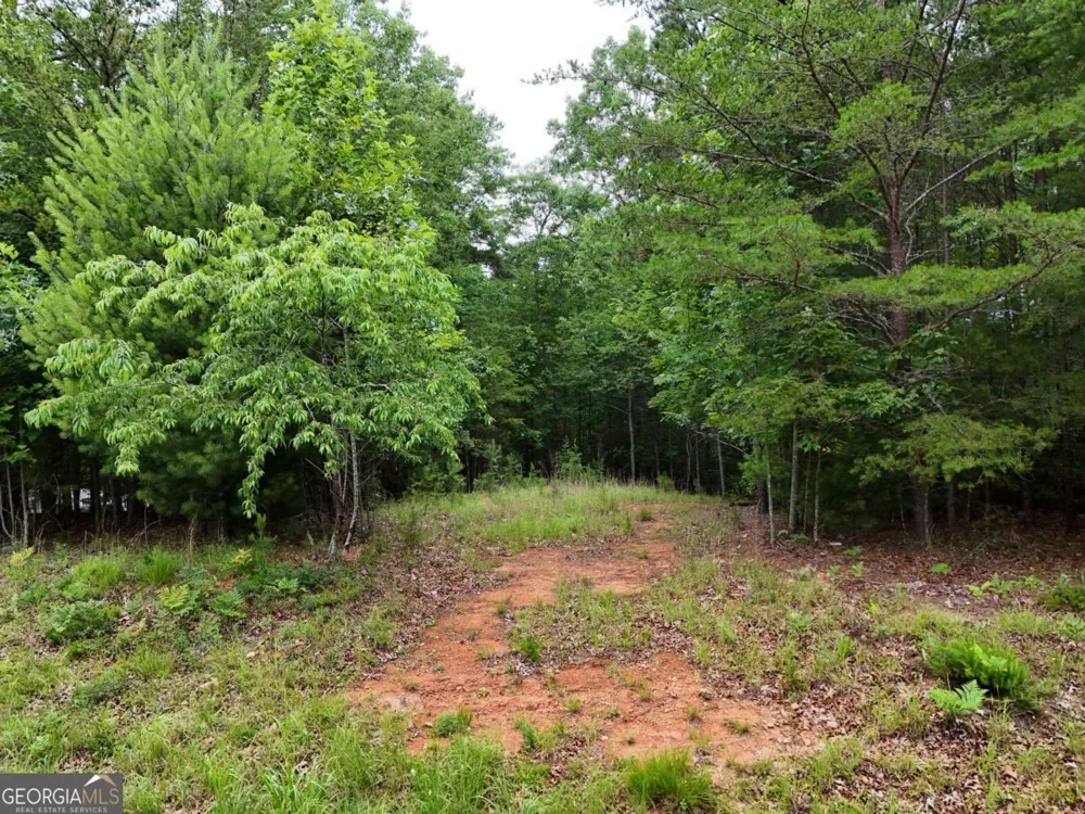 LOT 3 Cook Henry RD Blairsville, GA 30512