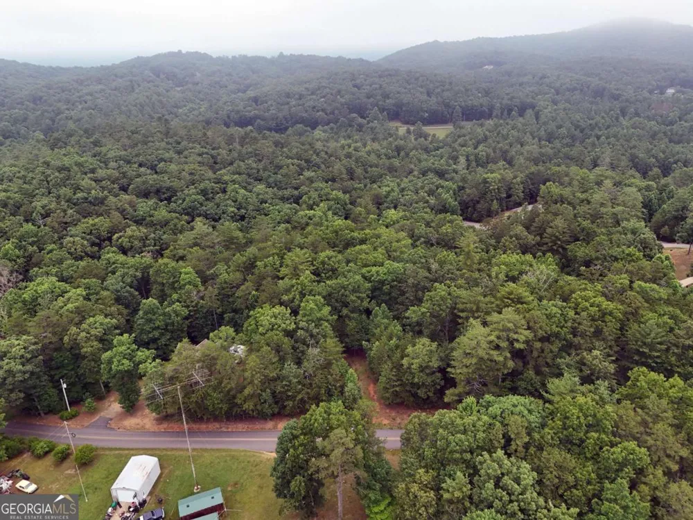 LOT 3 Cook Henry RD Blairsville, GA 30512